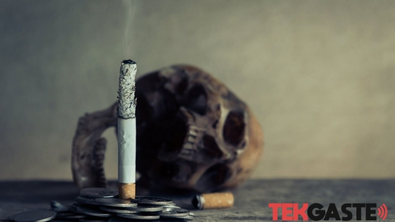 Sigarayı Bırakmalısınız? Ama nasıl?