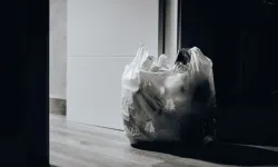 Toxicleri Çöp Kutusuna Atın!